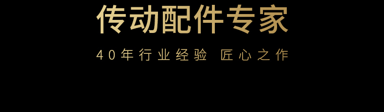 40年齒條導(dǎo)軌傳動(dòng)配件專家品質(zhì)保障